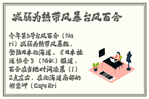 1769精品资源在线视频